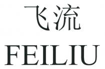 FEILIU 飞流