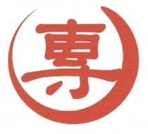 專