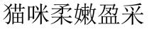 貓咪柔嫩盈采 猫咪柔嫩盈采