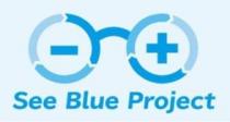 - + See Blue Project