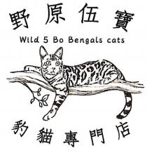 Wild 5 Bo Bengals cats 野原伍寶 豹貓專門店
