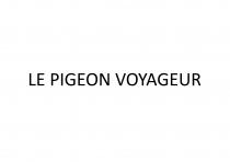 LE PIGEON VOYAGEUR