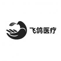 飞鸽医疗