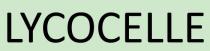 LYCOCELLE