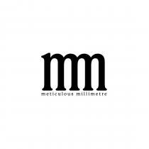 mm meticulous millimetre