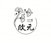 XINYUAN 欣元