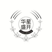 FistarsBloom 华星盛开