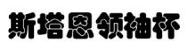 斯塔恩领袖杯