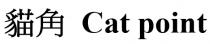 Cat point 貓角