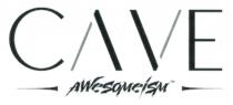 CAVE AWeSOMeiSM