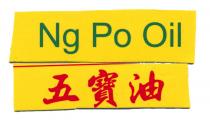 Ng Po Oil 五寶油