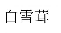 白雪茸