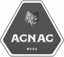 ACNAC MVGX