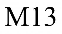 M13