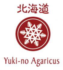 Yuki-no Agaricus 北海道