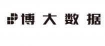 博大数据