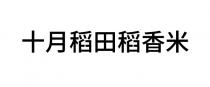 十月稻田稻香米
