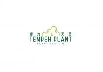TEMPEH PLANT PLANT PROTEIN 蒝力天貝