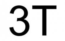 3T