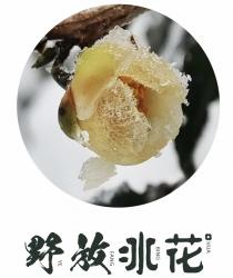 YE FANG BING HUA 野放冰花