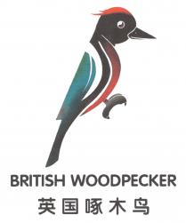 BRITISH WOODPECKER 英国啄木鸟