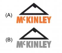 McKINLEY