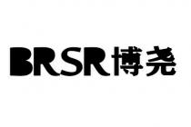 BRSR 博尧