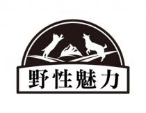 野性魅力