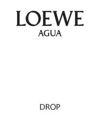 LOEWE AGUA DROP