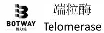 B BOTWAY Telomerase 博力維 端粒酶