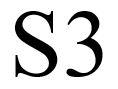 S3