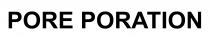 PORE PORATION