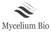 Mycelium Bio