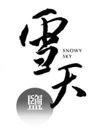 SNOWY SKY 雪天 鹽
