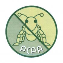 PCPA