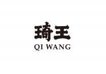 QI WANG 琦王