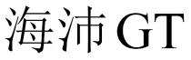 GT 海沛