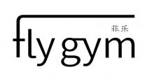 fly gym 菲乐