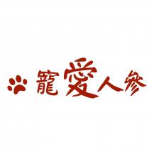 寵愛人參