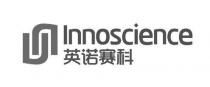 Innoscience 英诺赛科
