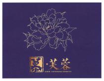 ADMIR COTTONROSE HIBISCUS 慕 芙蓉