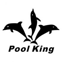 Pool King