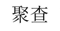 聚查