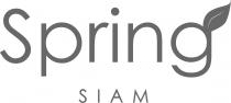 Spring SIAM