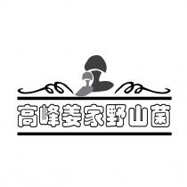 高峰姜家野山菌