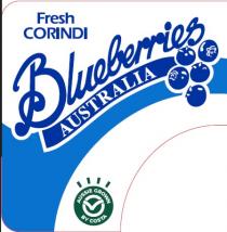 Fresh CORINDI Blueberries AUSTRALIA AUSSIE GROWN BY COSTA