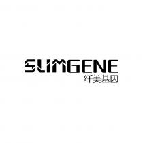 SLIMGENE 纤美基因