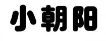 小朝阳