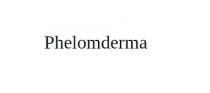 Phelomderma