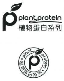 P plant protein P plant protein 植物蛋白系列 植物蛋白系列